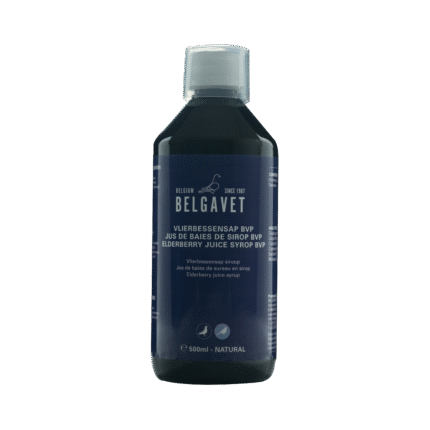ELDERBERRY JUICE SYROP BVP