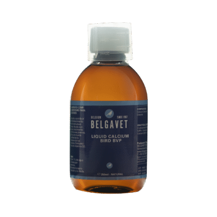 LIQUID CALCIUM BIRD BVP