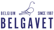 Belgavet