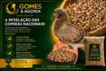 Alimento Para Pombos Super Criação 20Kg Portes de Envio Sob Consulta - Imagem 3
